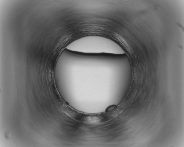 X0000096960169200802080908