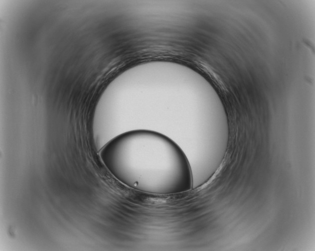 X0000096960170200802080908
