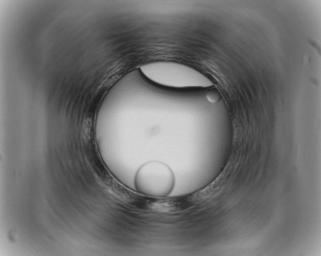 X0000096960171200802080908