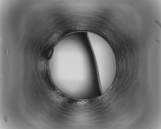 X0000096960172200802080908