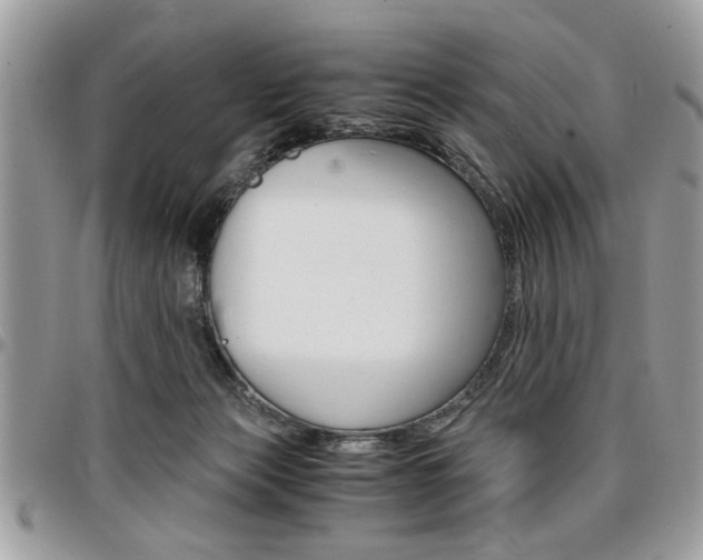 X0000096960173200802080908