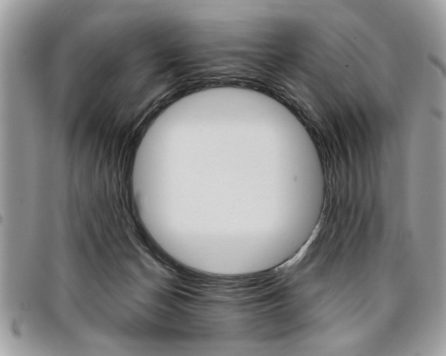 X0000096960174200802080908