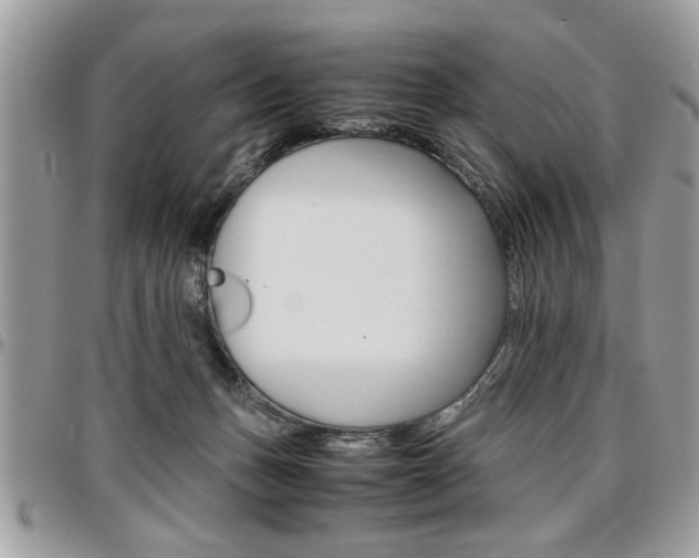 X0000096960175200802080908