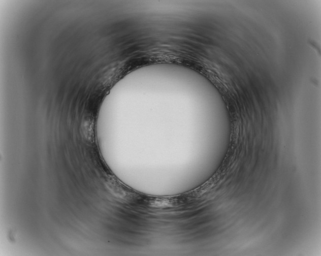 X0000096960177200802080908
