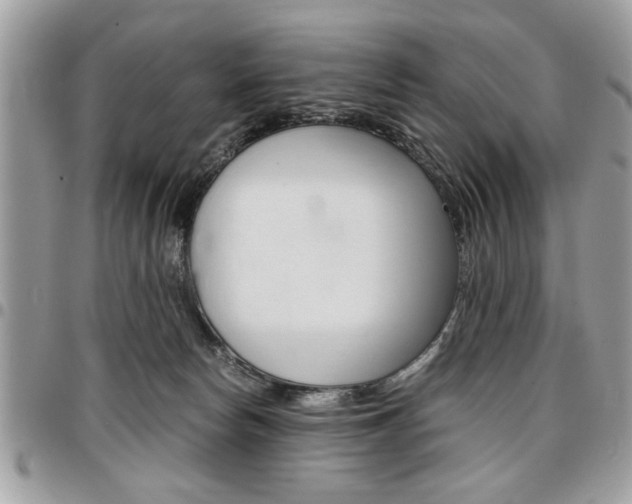 X0000096960178200802080908