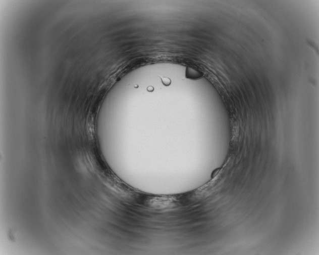 X0000096960179200802080908