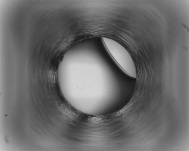 X0000096960180200802080908