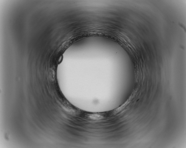 X0000096960183200802080908