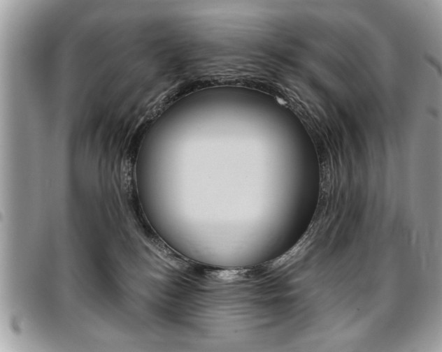 X0000096960184200802080908