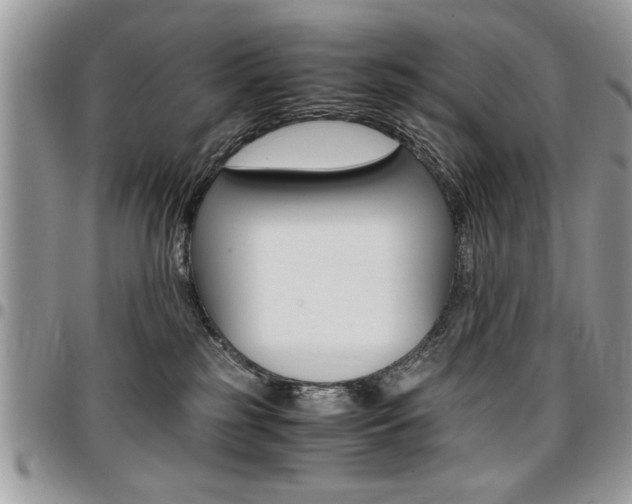 X0000096960185200802080908