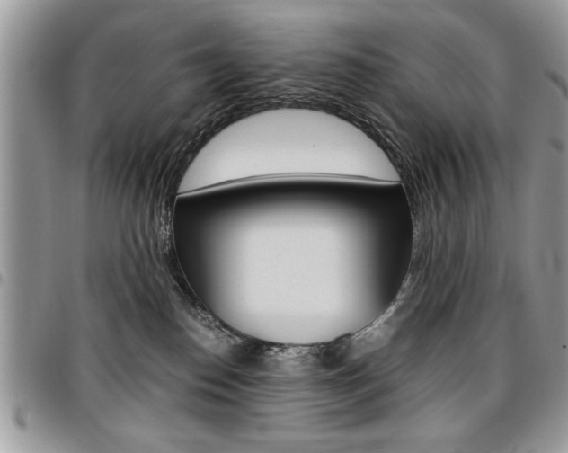 X0000096960186200802080908