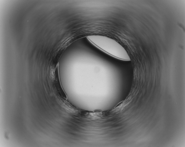 X0000096960188200802080908