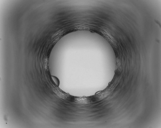 X0000096960189200802080908
