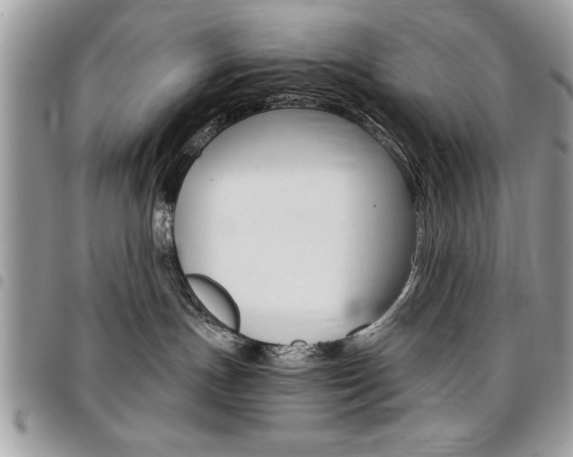 X0000096960191200802080908