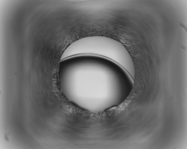 X0000096960192200802080908