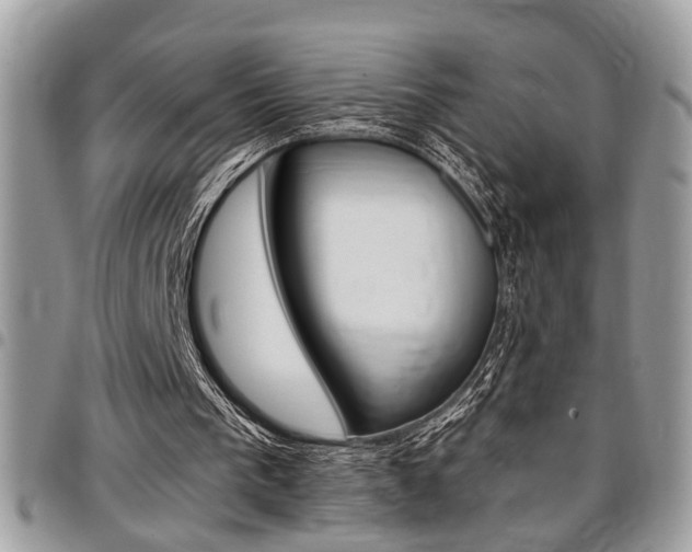 X0000096960193200802080908