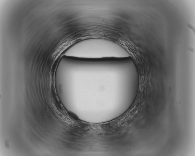 X0000096960194200802080908