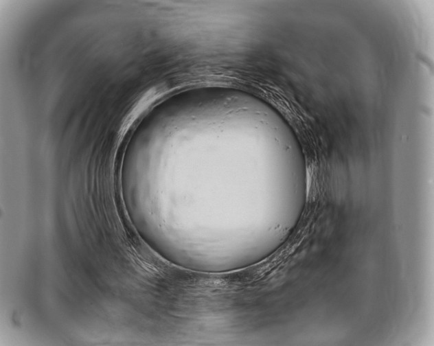 X0000096960195200802080908
