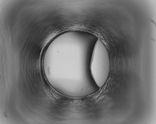 X0000096960196200802080908
