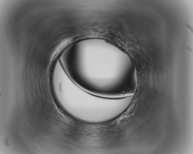 X0000096960197200802080907