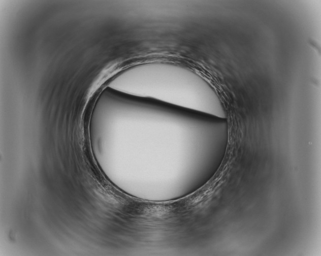 X0000096960198200802080907
