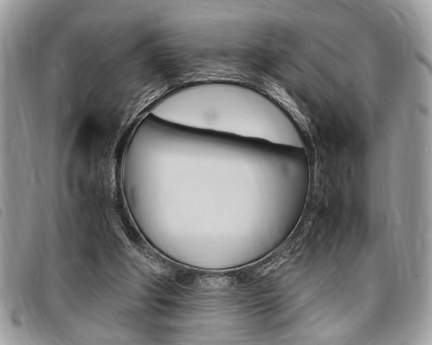 X0000096960202200802080907