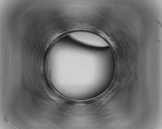 X0000096960203200802080907