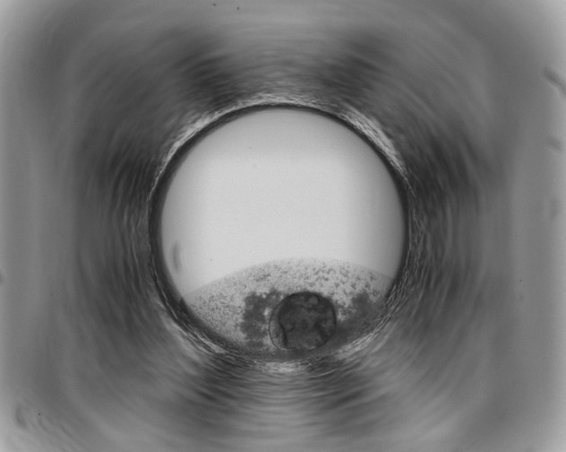 X0000096960204200802080907