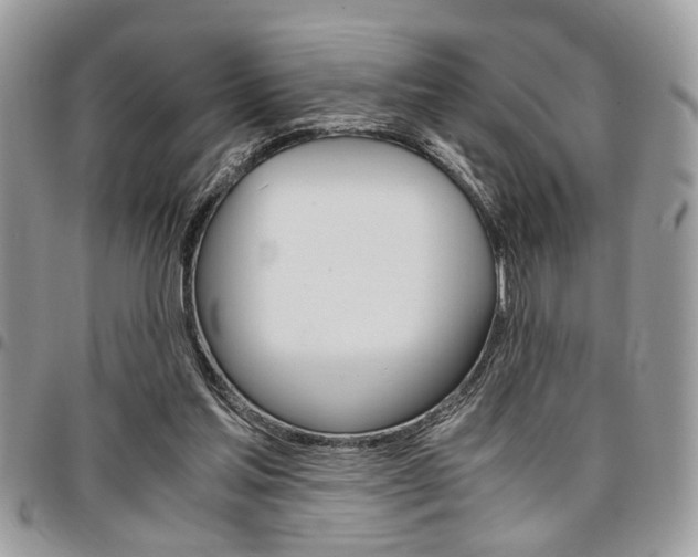 X0000096960205200802080907
