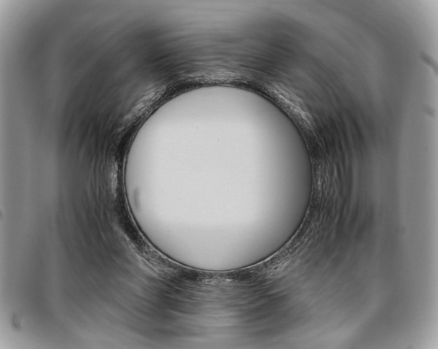 X0000096960206200802080907