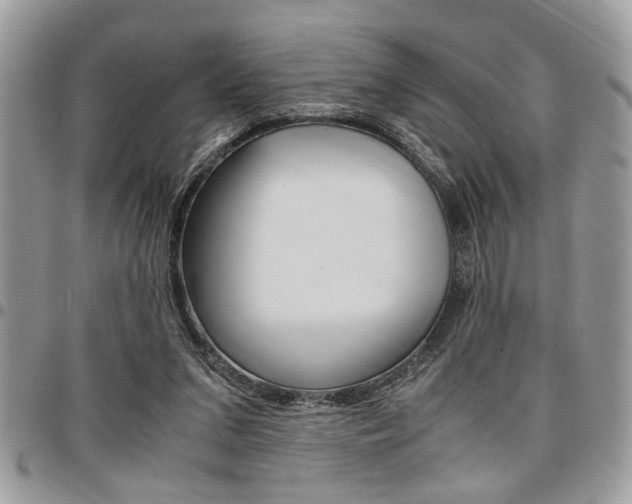 X0000096960207200802080907