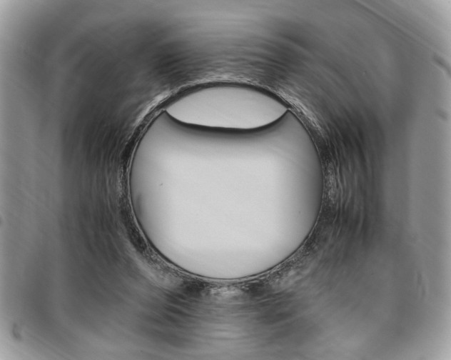 X0000096960208200802080907