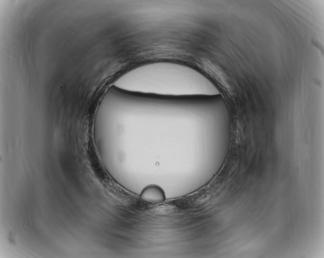 X0000096960210200802080907