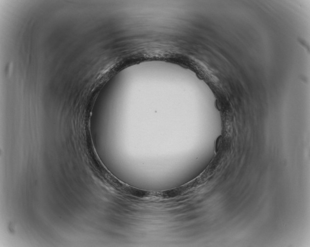 X0000096960211200802080907