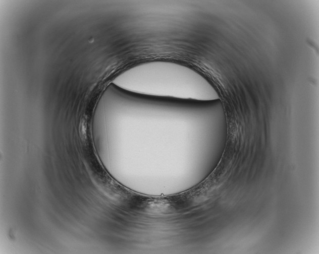 X0000096960214200802080907