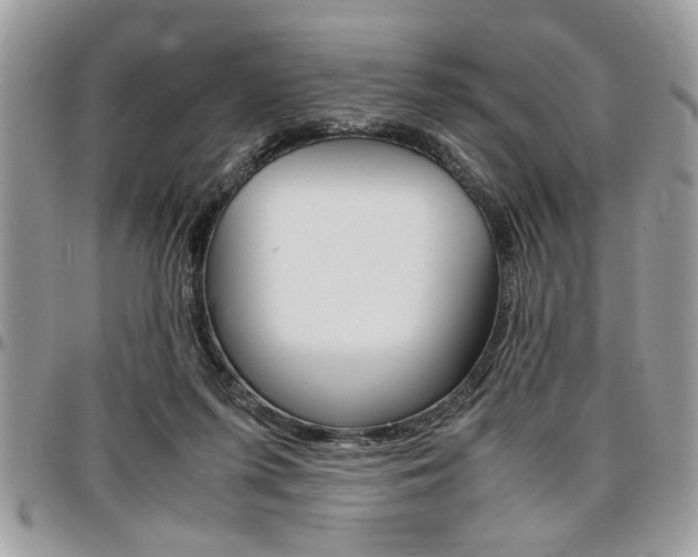 X0000096960215200802080907
