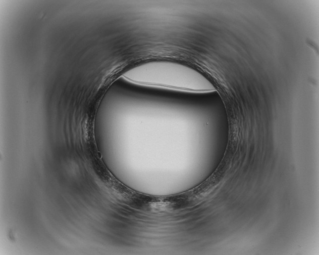 X0000096960216200802080907