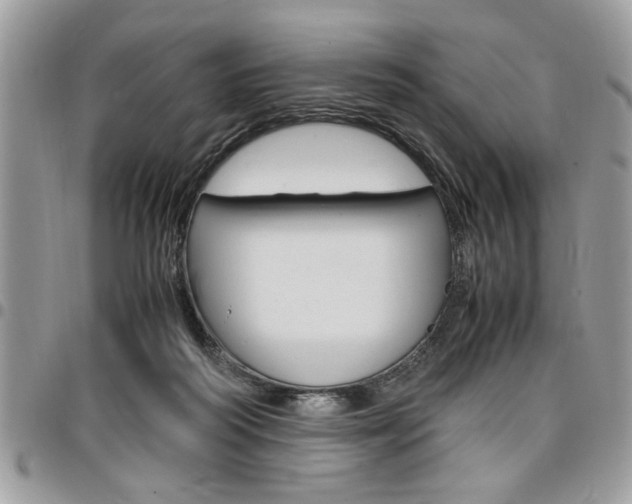 X0000096960218200802080907