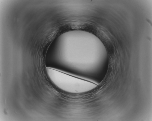 X0000096960219200802080907