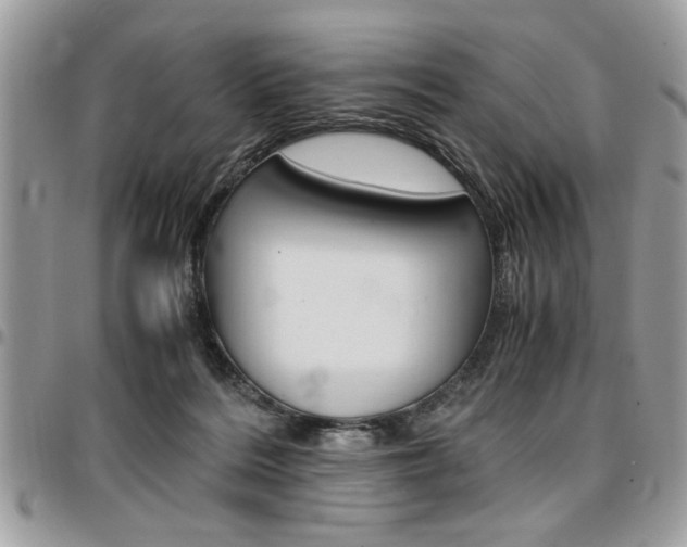 X0000096960220200802080907