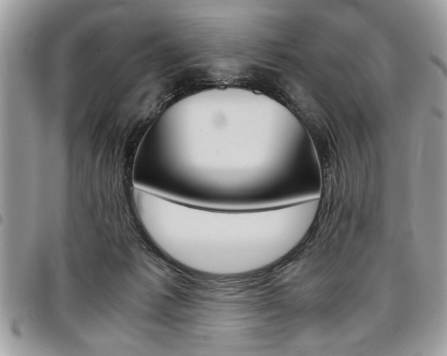 X0000096960221200802080907