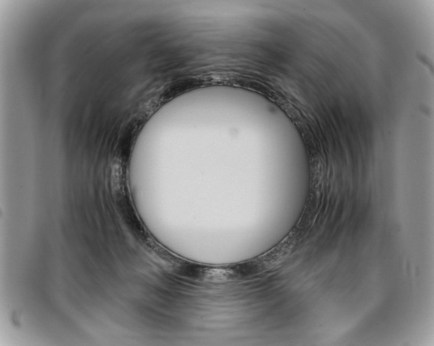 X0000096960222200802080907