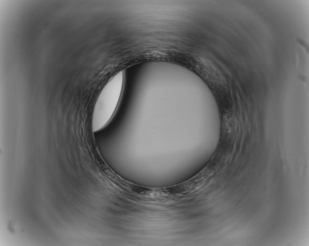 X0000096960223200802080907