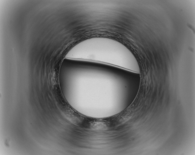 X0000096960224200802080907