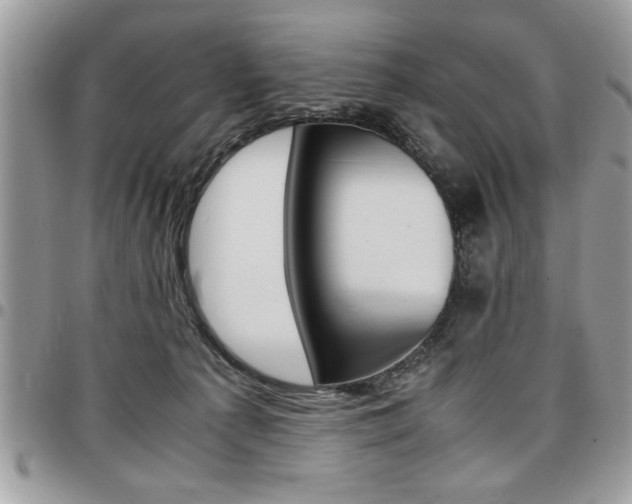 X0000096960225200802080907