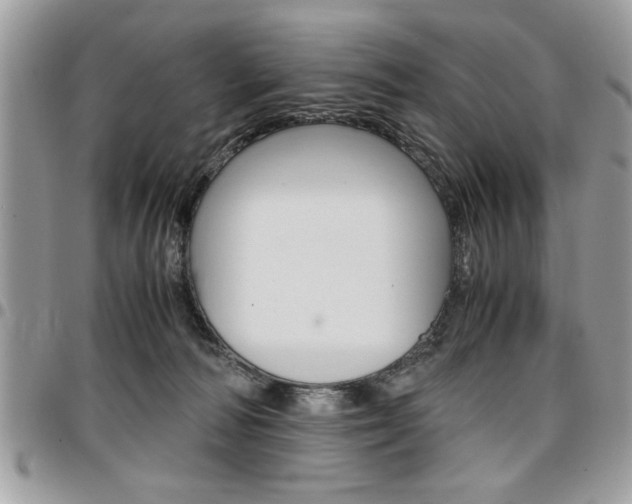 X0000096960226200802080907