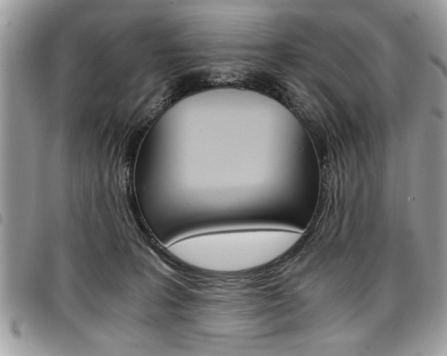 X0000096960227200802080907