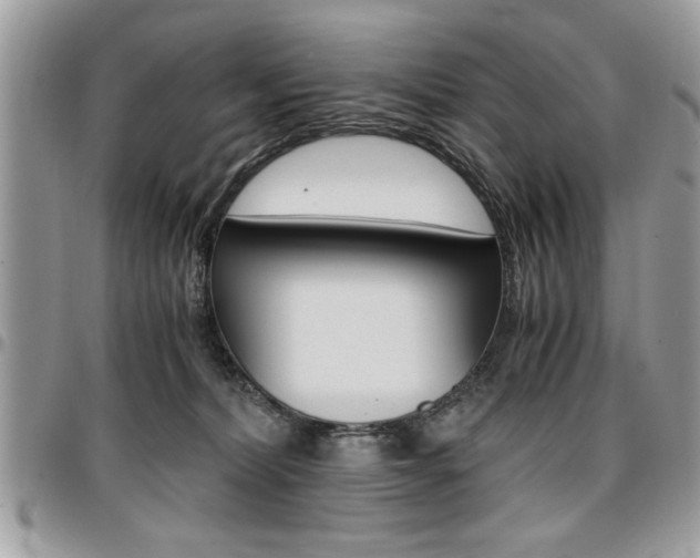 X0000096960228200802080907