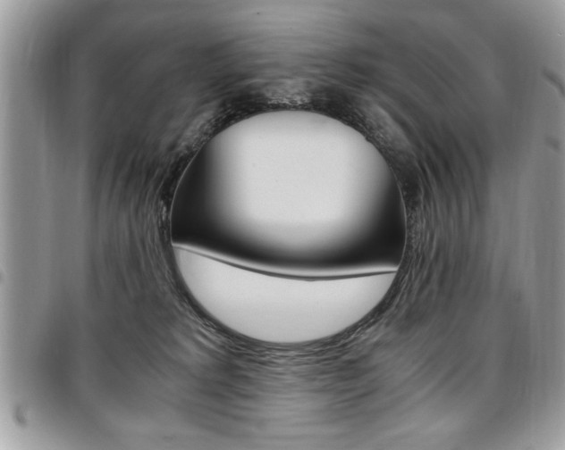 X0000096960229200802080907