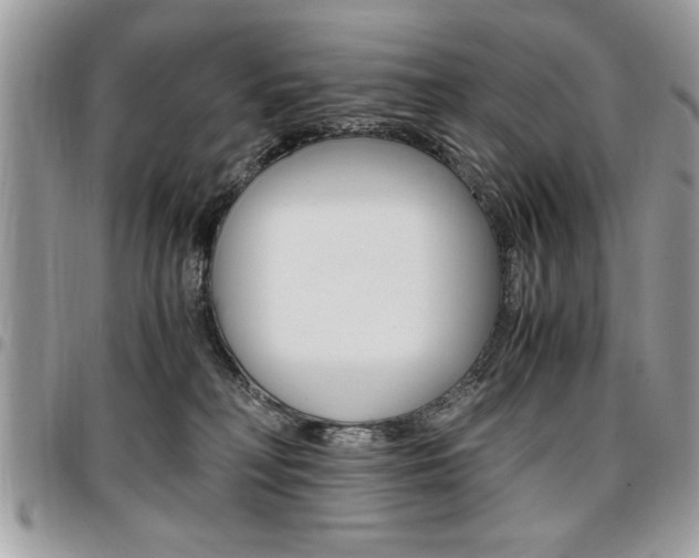 X0000096960230200802080907